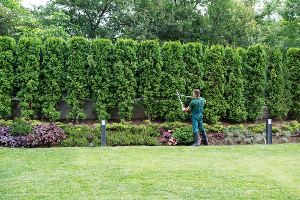 Lawn Maintenance Plans in Tallapoosa, GA